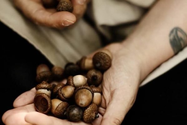 Photo by Ksenia Makagonova person holding wallnuts